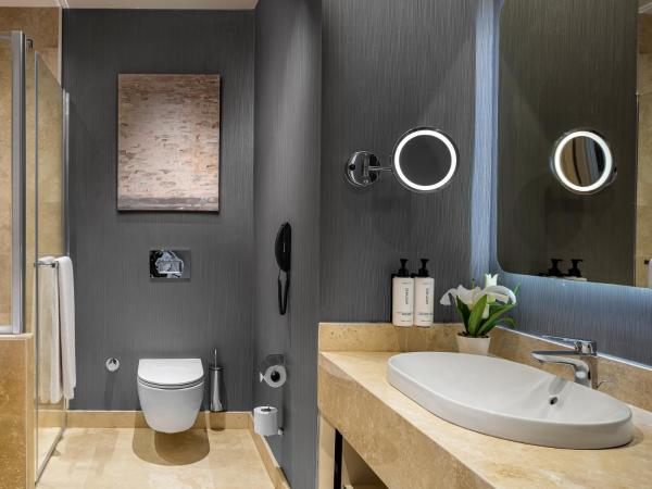 Crowne Plaza - Istanbul Tuzla Viaport Marina, an IHG Hotel : photo 6 de la chambre chambre lit king-size standard