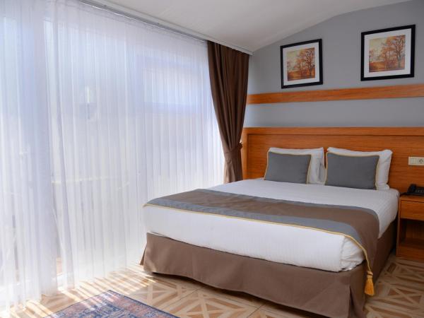 Edibe Sultan Hotel : photo 6 de la chambre chambre double ou lits jumeaux supérieure