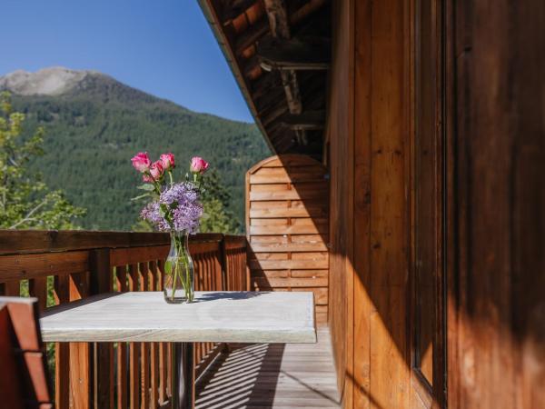 Résidence Sunêlia Les Logis d'Orres : photo 1 de la chambre studio (4 adultes)