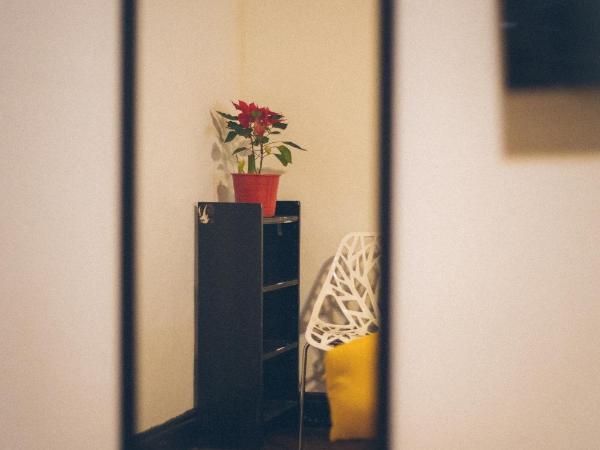 IDEAL SOCIAL Hostel : photo 9 de la chambre suite deluxe