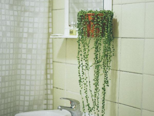 IDEAL SOCIAL Hostel : photo 3 de la chambre suite deluxe