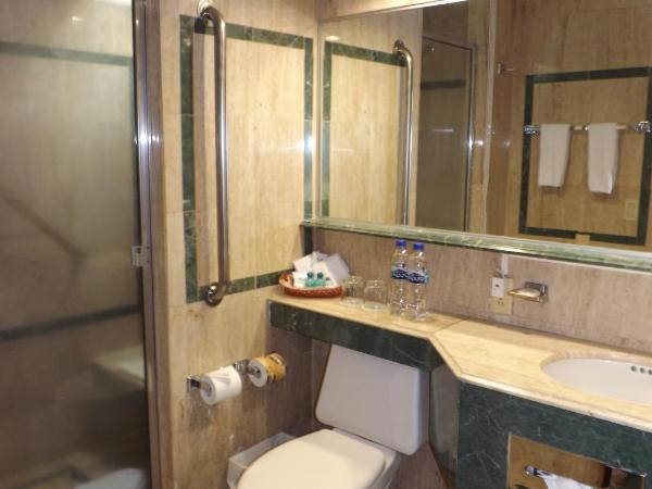 Pedregal Palace : photo 3 de la chambre chambre deluxe avec 2 lits doubles