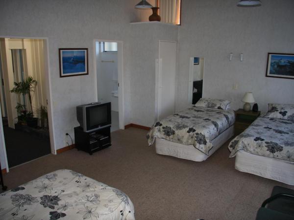 Kuirau Park Motor Lodge : photo 2 de la chambre appartement 1 chambre