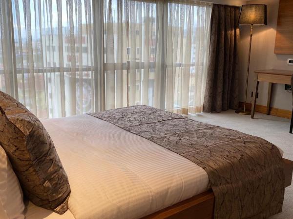 Days Hotel by Wyndham Istanbul Maltepe : photo 4 de la chambre single room with two single beds and city view