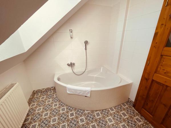 Penzion Kapr : photo 3 de la chambre apartment with kitchen and double bed - annex