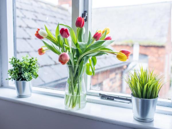 SO-LUX : photo 7 de la chambre chambre double