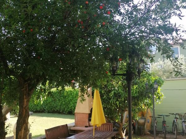 Slim apartman i sobe : photo 6 de la chambre appartement 2 chambres