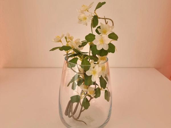 Residence Mare : photo 1 de la chambre appartement 1 chambre