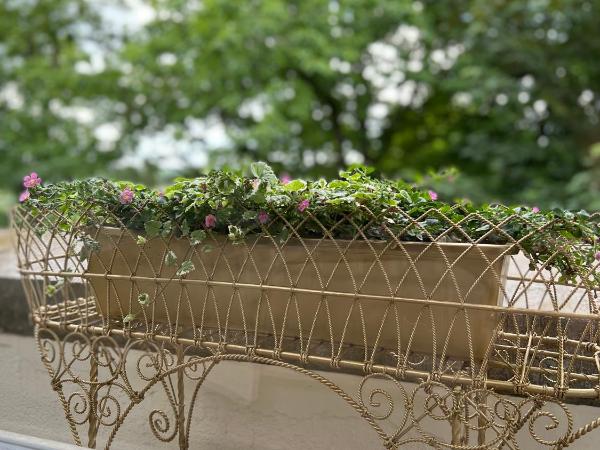 La Vigie, Spa : photo 9 de la chambre chambre double - vue sur jardin