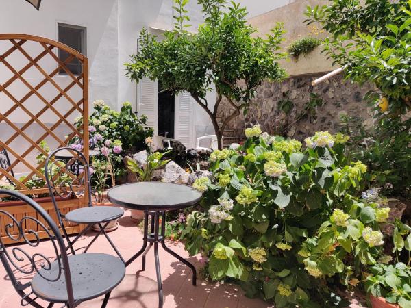 Hotel Villa Cecilia : photo 2 de la chambre chambre double ou lits jumeaux Économique