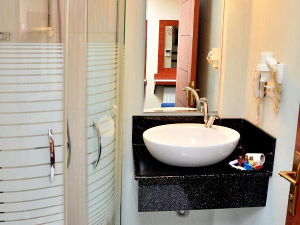 Business Grand Hotel : photo 5 de la chambre chambre double standard