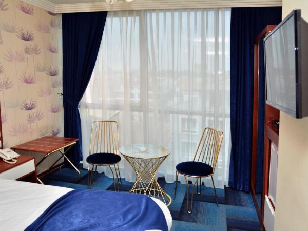 Business Grand Hotel : photo 3 de la chambre chambre double standard