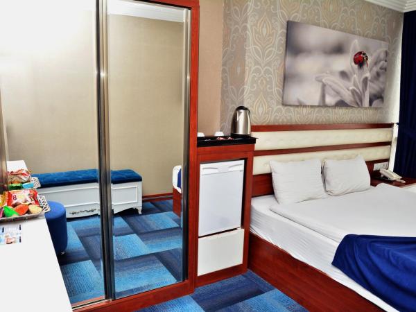 Business Grand Hotel : photo 6 de la chambre chambre double standard