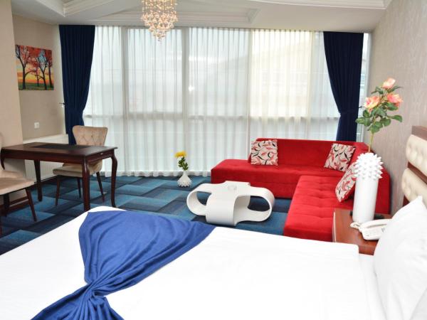 Business Grand Hotel : photo 5 de la chambre suite junior