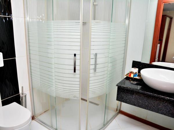 Business Grand Hotel : photo 9 de la chambre chambre double standard