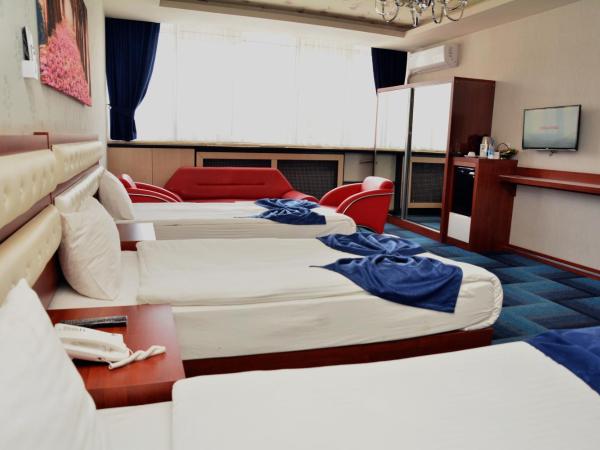 Business Grand Hotel : photo 6 de la chambre chambre triple