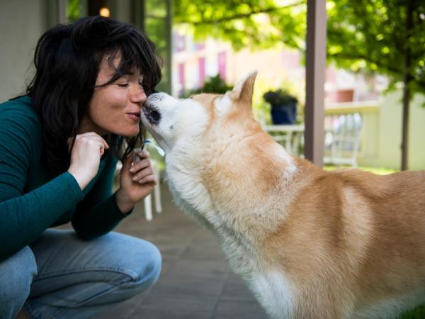 Sovrana Hotel & SPA : photo 5 de la chambre chambre double ou lits jumeaux avec accès à la plage (animaux domestiques admis)