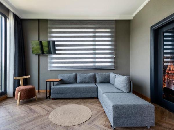 Istanbul Old City Colorful Houses Balat PETRION Hotel : photo 6 de la chambre suite junior