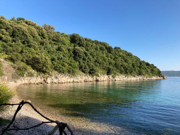 Boutique B&B Agroturizam Sv. Juraj : photo 7 de la chambre chambre double - vue sur piscine