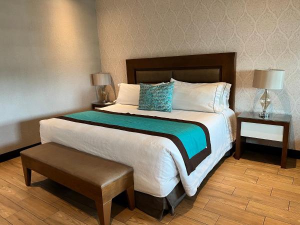 Áurea Hotel and Suites : photo 6 de la chambre suite classique