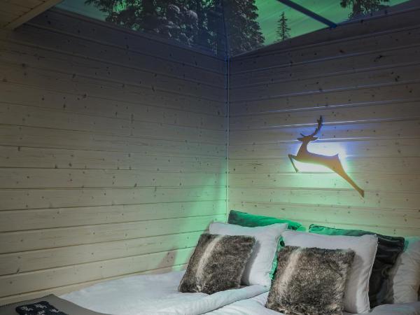 Skyfire Village Igloos : photo 9 de la chambre chalet