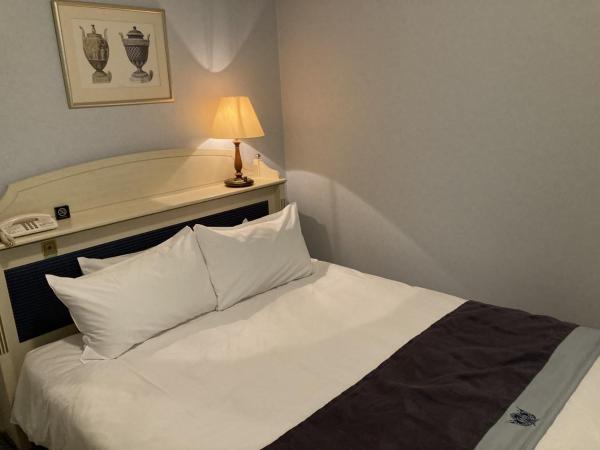 Hotel Monterey Osaka : photo 6 de la chambre donau classic double room - non-smoking