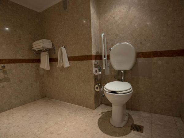 Holiday Inn Cordoba, an IHG Hotel : photo 6 de la chambre chambre lit king-size avec baignoire accessible aux personnes à mobilité réduite - non-fumeurs