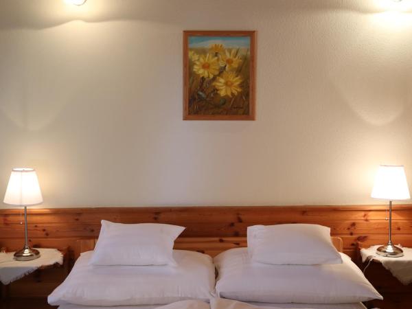 Hajdú Kastély Hotel : photo 2 de la chambre chambre triple