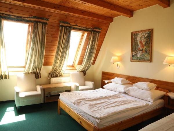Hajdú Kastély Hotel : photo 3 de la chambre chambre quadruple
