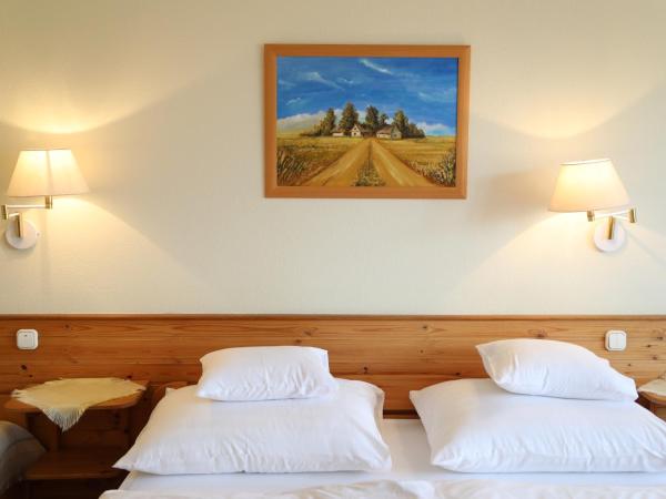 Hajdú Kastély Hotel : photo 4 de la chambre chambre double supérieure