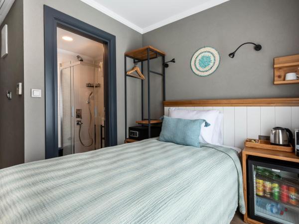 Istanbul Old City Colorful Houses Balat PETRION Hotel : photo 2 de la chambre chambre simple