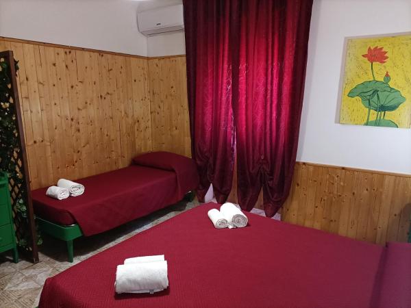 Mony's Island B&B : photo 2 de la chambre chambre triple avec salle de bains privative séparée