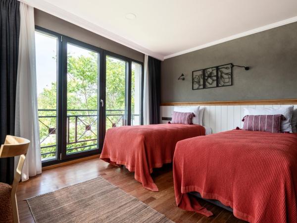 Istanbul Old City Colorful Houses Balat PETRION Hotel : photo 1 de la chambre chambre double supérieure