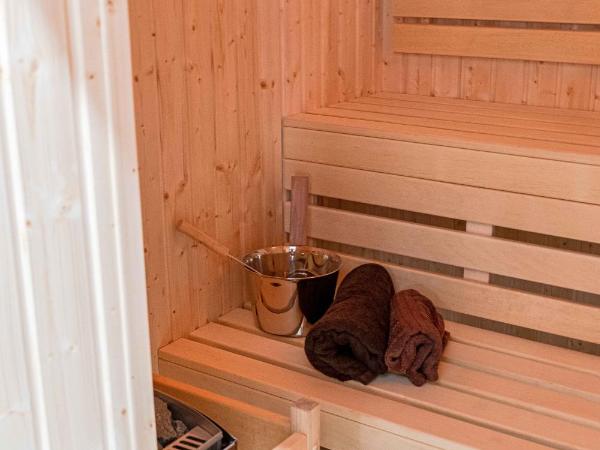 Old Town Vistula Premium Apartments : photo 4 de la chambre superior apartment with sauna - no. b