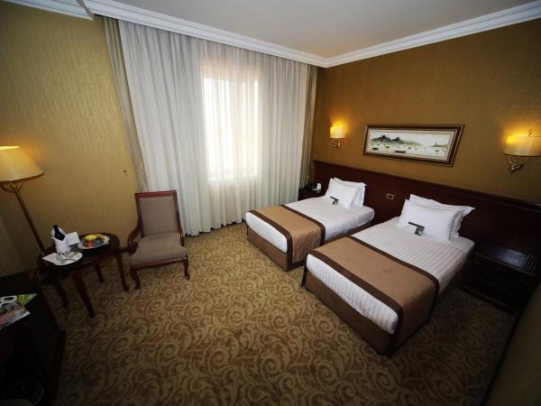 Bilek Istanbul Hotel : photo 2 de la chambre chambre double ou lits jumeaux standard