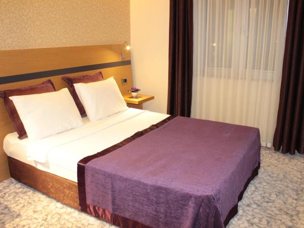 Hotel Osaka Airport : photo 1 de la chambre chambre deluxe