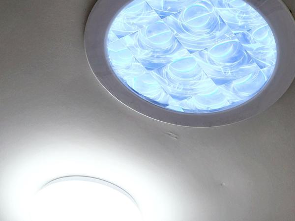 Newton Lodge Auckland : photo 8 de la chambre chambre lits jumeaux privée avec lits superposés et salle de bains commune (sans fenêtre)