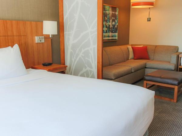 Hyatt Place Chicago-South/University Medical Center : photo 2 de la chambre chambre lit king-size avec canapé-lit - Étage supérieur