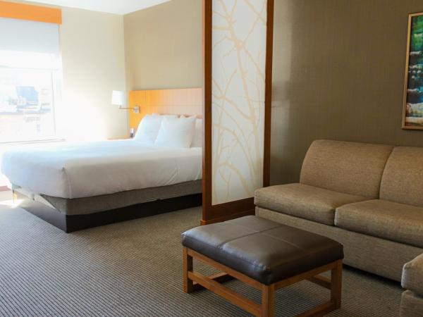 Hyatt Place Chicago-South/University Medical Center : photo 7 de la chambre chambre lit king-size avec canapé-lit - Étage supérieur