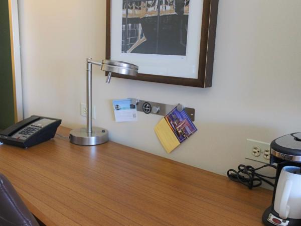 Hyatt Place Chicago-South/University Medical Center : photo 7 de la chambre chambre lit king-size avec canapé-lit