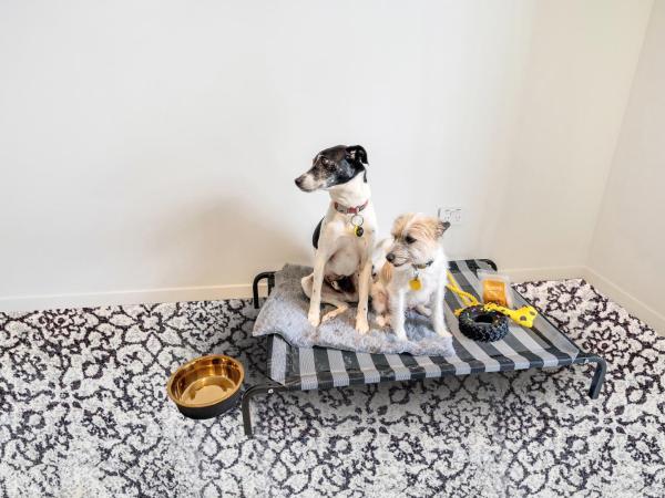 Roomie Apartment Hotel : photo 8 de la chambre studio - pet friendly