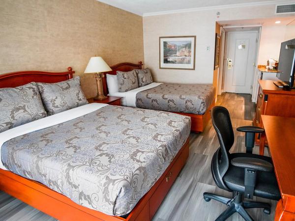 Hôtel Palace Royal : photo 1 de la chambre chambre classique avec 2 lits doubles