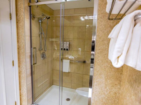 Hôtel Palace Royal : photo 5 de la chambre chambre classique avec 1 lit queen-size et douche en verre
