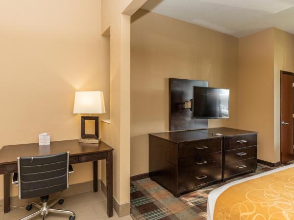 Comfort Suites Houston West at Clay Road : photo 7 de la chambre suite lit king-size - accessible aux personnes à mobilité réduite - non-fumeurs