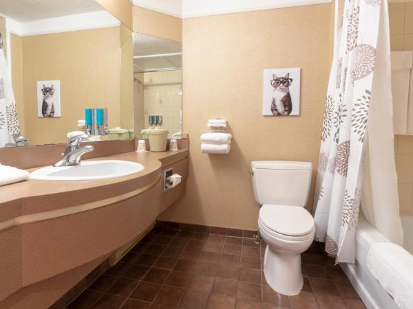 Hôtel Québec Inn : photo 4 de la chambre chambre traditionnelle avec 2 lits doubles - vue sur extérieur