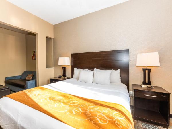 Comfort Suites Houston West at Clay Road : photo 10 de la chambre suite lit king-size