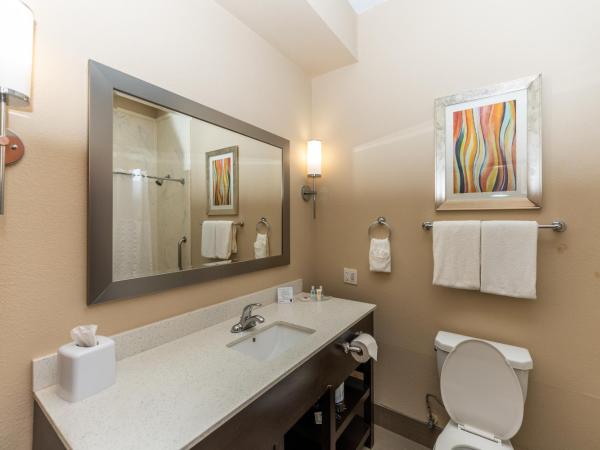 Comfort Suites Houston West at Clay Road : photo 10 de la chambre suite lit queen-size – non-fumeurs