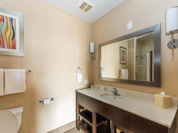 Comfort Suites Houston West at Clay Road : photo 7 de la chambre suite lit queen-size – non-fumeurs