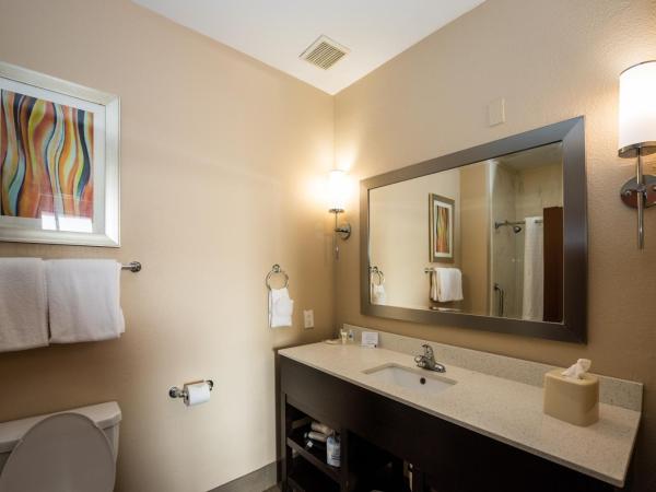 Comfort Suites Houston West at Clay Road : photo 5 de la chambre suite lit queen-size – non-fumeurs
