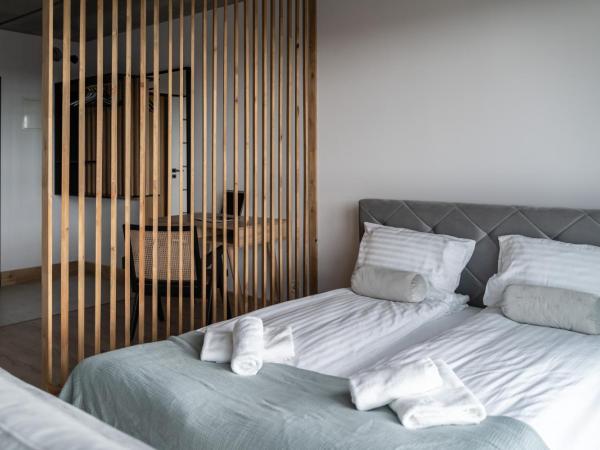 Apartamenty Przystanek Morska : photo 10 de la chambre studio double deluxe